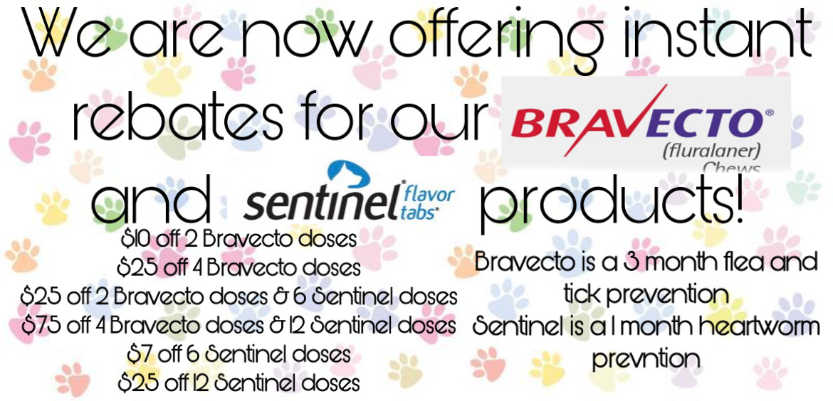 Bravecto Rebate Banner